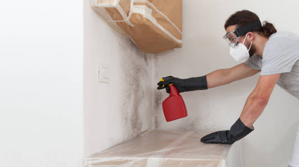 Professional Mold Testing technician working in Temperanceville, VA