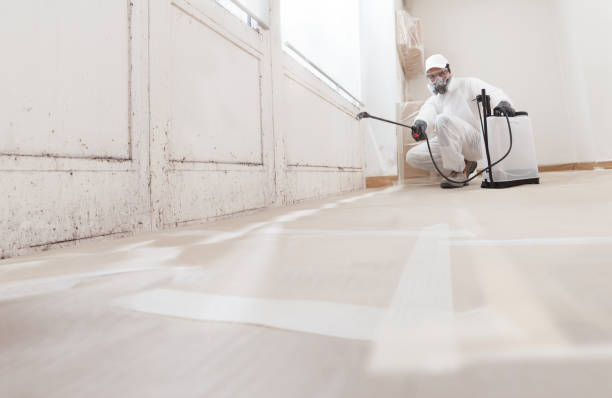 24/7 Emergency Mold Testing experts in Temperanceville, VA