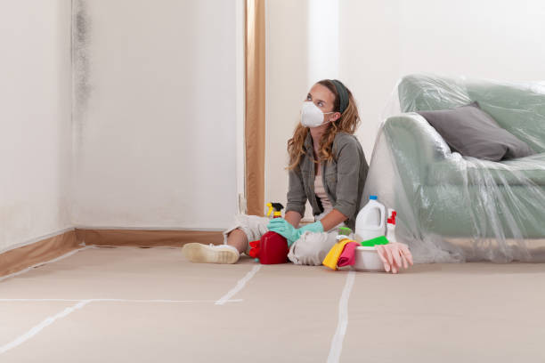 Reliable Mold Cleanup contractor in Temperanceville, VA by Cheap Mold Removal